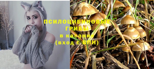 прущая мука Болохово