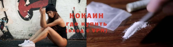 молекула духа Алексин