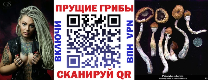 Галлюциногенные грибы Psilocybe  Калининск 